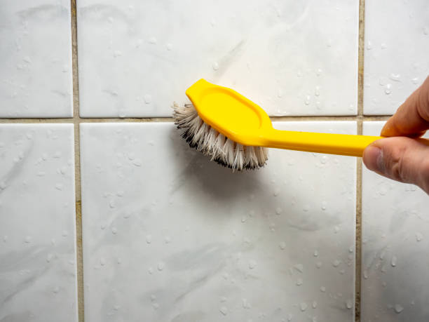 Best Office Mold Removal Services  in Ventnor City, NJ