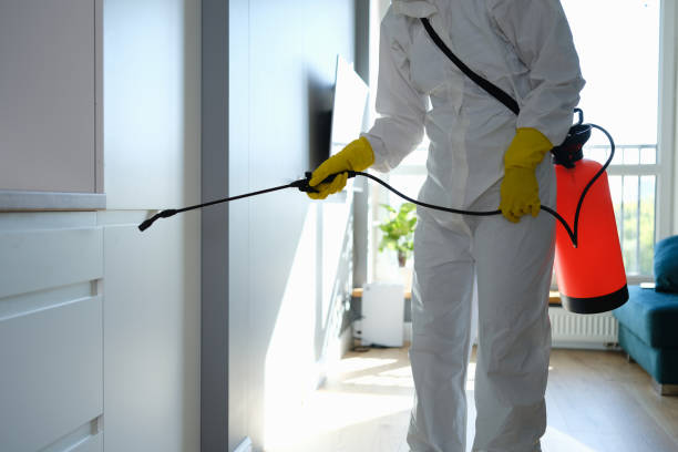 Mold Removal and Inspection in Ventnor City, NJ